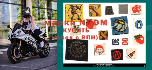 шишки Абинск