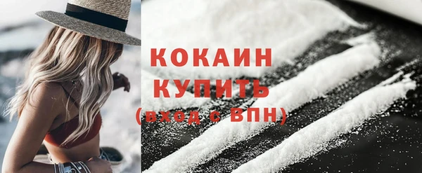 шишки Абинск