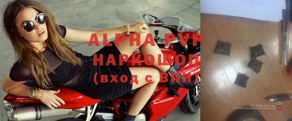 шишки Абинск